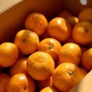 천화농장 이미지