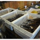 믿음농가 이미지