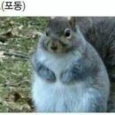썬더 이미지