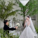 가성비 본식 dvd 색감 좋은 스튜디오다믐 영상 후기