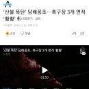 강원도 정선 산불 원인 &#39;담배꽁초&#39; 유력 이미지