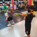 경희 복싱체육관 이미지