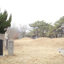 어연 함안이씨 어변갑묘 Daum카페