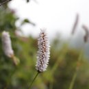 영란농장 이미지