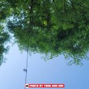 혜성축산 이미지