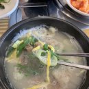 이서곰탕 이미지