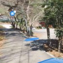 양산신-2021 Daum카페