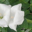 재순농장 이미지