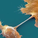 BENEFIT P.T SHOP 이미지