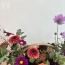 구리시갈매동꽃집 꽃잎 꽃집 추천 꽃배달 예쁜 꽃말