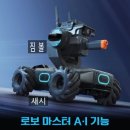 남신초등학교 | #인공지능체험 #로보마스터 #코딩교육 #남신초등학교