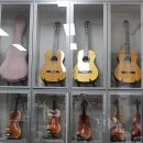 포크기타 (중급) 이미지