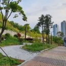 부영공원(월산근린공원) 이미지