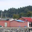 신수도 대구동 이미지