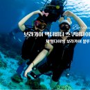 보라카이 스쿠버다이빙 체험 스킨스쿠버 액티비티 블루핀 가격 예약