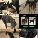 승기농장 이미지