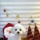 견생 이발소 이미지