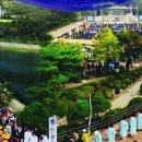 (주)탑메디칼솔루션 Daum카페