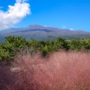 남원읍-2 이미지