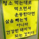 (주)돼지와 건강 이미지