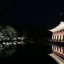 경복궁 이미지