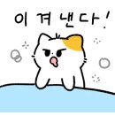 화이트토탈클린 이미지