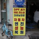 솔카랜드 이미지