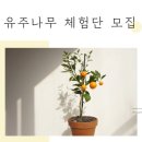 공간과나무 이미지