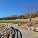 무등목장 이미지