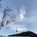 남산아트몬스테이 - 중구 퇴계로20나길 42 | 남산아트몬스테이