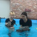 공쥬PC | 수달이랑 수영하고옴! 경산 이웃집 수달 수영 체험 후기/비용/예약