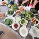 동남해농협삼동지점 | [ 남해 여행 2️⃣ ] 남해 동남해농협삼동점 | 바베큐 장보기 후기