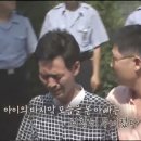 씨랜드 이미지