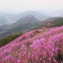 [산행후기] 천주산 (2011.04.16)