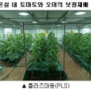 보광 이미지