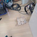 강서구-67 이미지