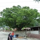 고칫재민박 이미지