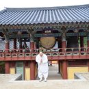 증도가 Daum카페