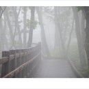 마지기로 이미지