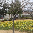 지천소공원 이미지