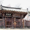 무주읍243 Daum카페