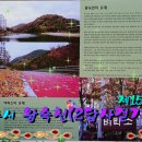 내촌1교 - 포천시 | 내촌1교