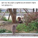 송도동물병원 이미지