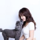 서울애견 이미지