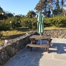 미깡낭밭 이미지