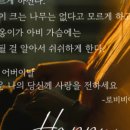 로비비아플라워