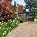 만지작하우스민박 이미지