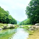 바람쉼터 | 충북 괴산 화양계곡 숲속의 쉼터 평상 대여 후기