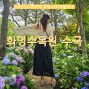 금빛칼라 자동차정비 | 부산 수국축제 화명수목원 제1회 북구 트래블로드