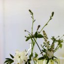 아이디어플라워 이미지